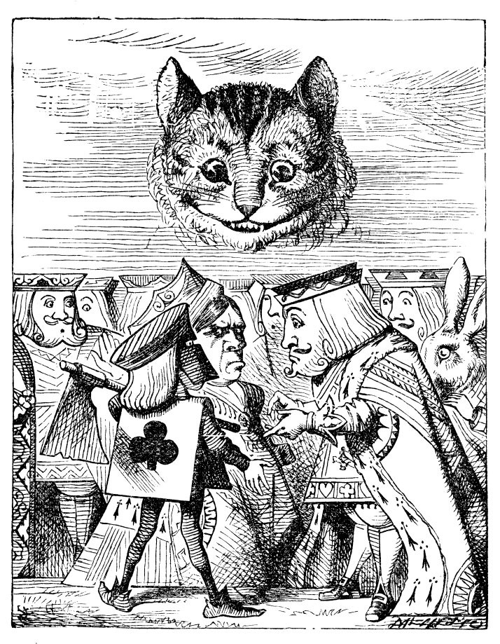 image of the Cheshire Cat's head floating